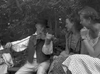 Reportage från Furuvik. Spelmän, augusti 1951