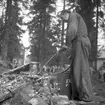 Flygolycka vid Karskär. Den 29 augusti 1950