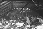 Brand i Koperativa förbundets lager på Stora Holmen. Den 31 mars 1943