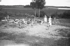 Barnkoloni vid Rörberg. Augusti 1943