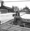 Blommor som ska till Stadsträdgården. April 1944