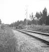 Bilolycka vid Furuvik. Reportage för Arbetarbladet. Juli 1939