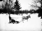 Utemiljö. Släde med barn och kvinna