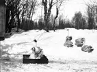 Furuviks djurpark. Fåglar i snön