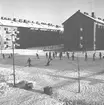 Den 23 januari 1957. Skridskobana