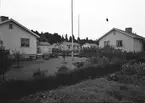 År 1950.