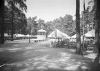 Den 18 maj 1965. Boulognerskogen.