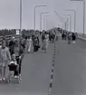 Stora folkmassor strömmade till när den färdigbyggda men inte invigda Ölandsbron visades för allmänheten.