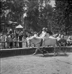 Furuvik

Furuviksparken invigdes pingstdagen 1936.
Folkdanslaget Furuviks Ungdomslag och Barnkabarén blev Furuviksbarnen.