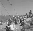 Furuskär

Furuviksparken invigdes pingstdagen 1936.

Segelbåtstävling