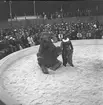 Furuviksparken invigdes pingstdagen 1936.

Folkdanslaget Furuviks Ungdomslag och Barnkabarén blev Furuviksbarnen

Clownen och hans elefant