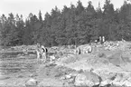 Furuviksparken invigdes pingstdagen 1936.

Nöjesfältet, badplatsen Sandvik och djurparken gjordes i ordning.

Badplatset Sandvik