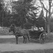 Furuviksparken invigdes pingstdagen 1936.

Folkdanslaget Furuviks Ungdomslag och Barnkabarén blev Furuviksbarnen