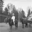 Furuviksparken invigdes pingstdagen 1936.

Folkdanslaget Furuviks Ungdomslag och Barnkabarén blev Furuviksbarnen