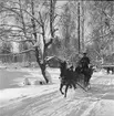 Furuviksparken invigdes pingstdagen 1936.

Vinterskoj i snön