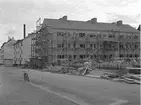 Nybyggen. September 1943