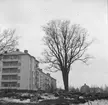 Almen vid korsningen Luthergatan och Bergsgatan