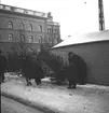 julgransmarknad på Stortorget

18 december 1942