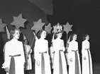 Lucia med tärnor

13 december 1949