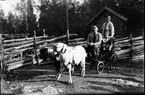 Furuviksparken invigdes 1936

Folkdanslaget Furuviks Ungdomslag och
Barnkabarén blev Furuviksbarnen