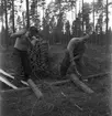 Opersångare Conny Söderström på skogshuggning med Egon Madsen. 8 augusti 1947.