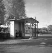 Esso bensinstationer. 20 oktober 1947.