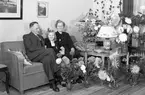 Fru Skytts 50-årsdag. December 1947.