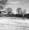 Gävles första daghem. 5 mars 1945 öppnade Stenebergsgården, Brynäs. Första institution för halvöppen barnavård. Verksamheten var uppdelad på en barnträdgård, ett daghem och ett eftermiddagshem.