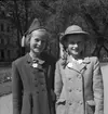 Bästa försäljarna av fredsblomman. 20 maj 1947. Reportage för Norrlands-Posten