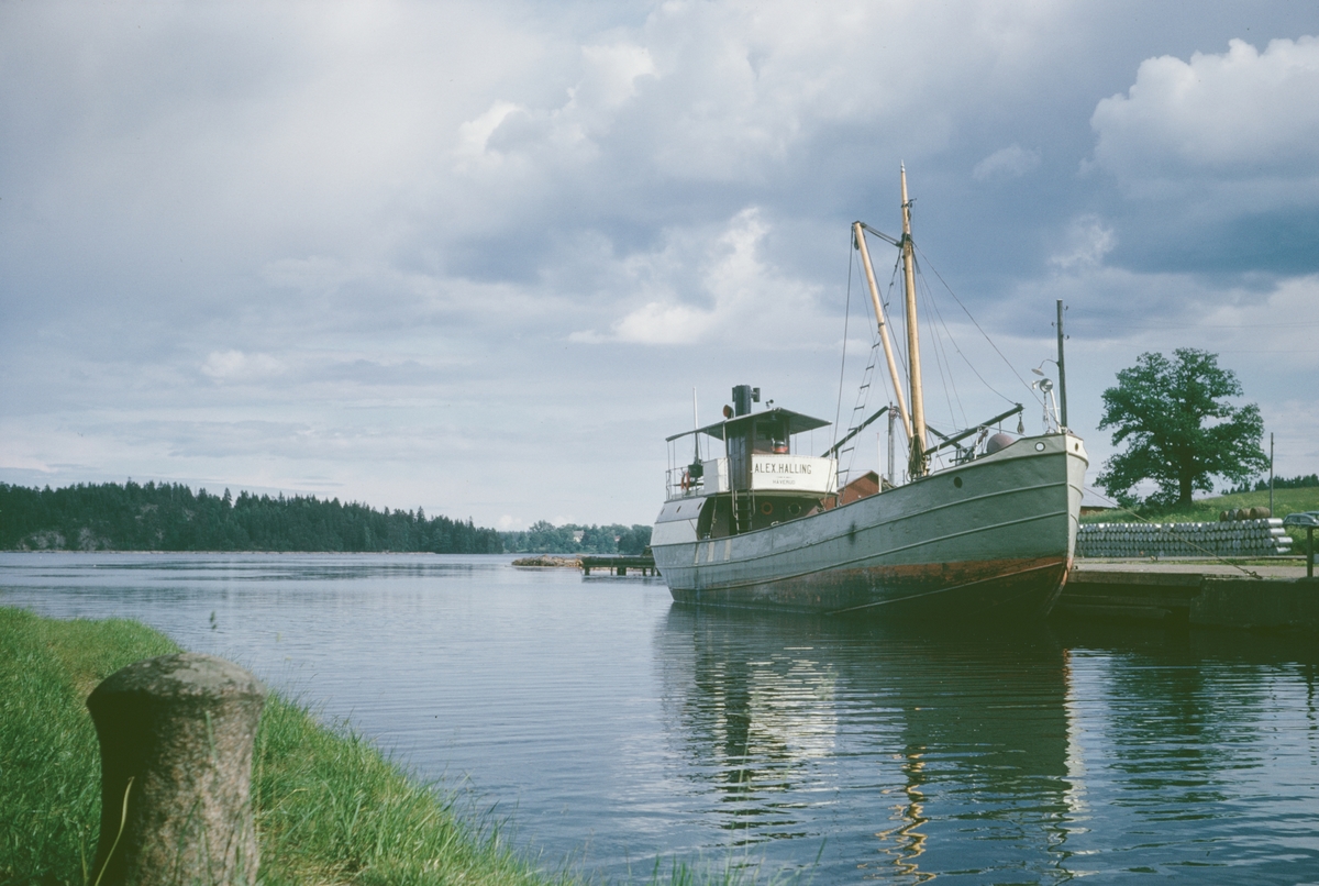 MS Alex. Halling 29.6 1962