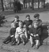 Rörbergsbarn i Stenebergsparken. 8 maj 1953.