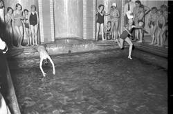 Simkursavslutning på Murénska Badhuset. 7 juni 1953.