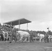 Hushållningssällskapet. Gävleutställningen sommaren 1946 vid Travbanan och Folkparken. Lantbruksmöte