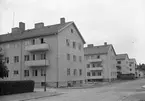 Reportage för Norrlandsposten
Hantverkargatan och Kaplansgatan

Husen stod färdig 1946