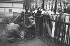 Norra Skolan får nytt staket uppsatt. Januari 1950.