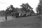 Reportage från nyinryckning till I 14, Kungsbäck. Maj 1949. Reportage för Arbetarbladet.