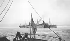 Tyska transportfartyg, fotograferade från svenskt fartyg vid Åland i mars 1918