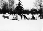 Furuvik Djurpark. Slädar dragna av häst, åsna och en get.