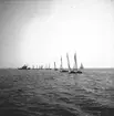 År 1938. Norrlandsregattan. Segelbåt. Reportage för Gefle Dagblad.