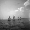 År 1938. Norrlandsregattan. Segelbåt. Reportage för Gefle Dagblad.