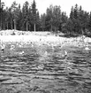 Den 23 juli 1938. Barnutflykt till Furuvik. Reportage för Gefle-Posten