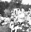 Den 23 juli 1938. Barnutflykt till Furuvik. Reportage för Gefle-Posten