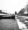 Mars 1938. Stormfällning. Holmkanalen. Reportage för Gefle Dagblad