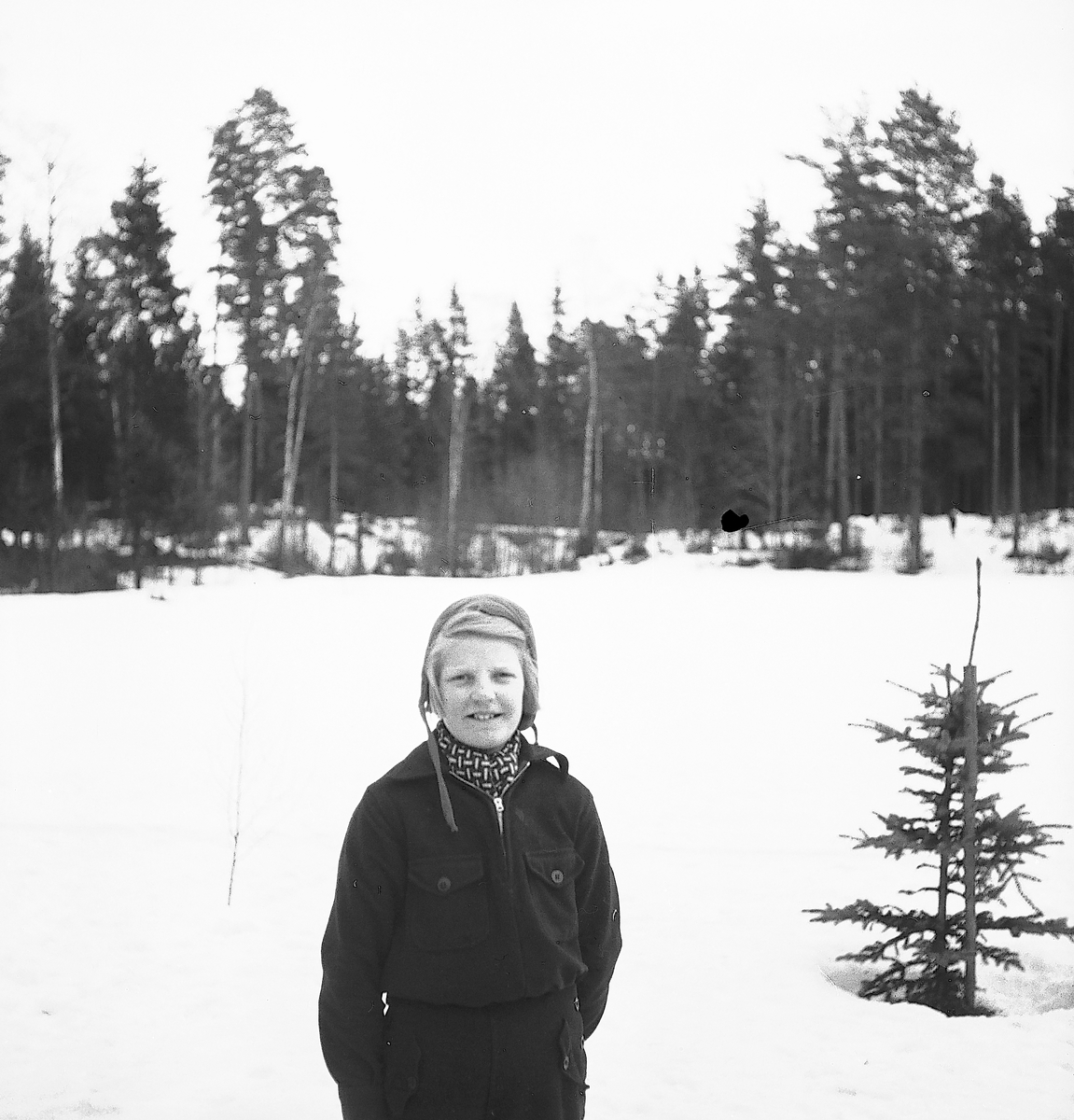 Februari 1938. Fettisdagstävling skidåkning.