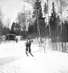 Februari 1938. Fettisdagstävling skidåkning.