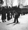 Februari 1938. Fettisdagstävling skidåkning.