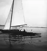 År 1938. Norrlandsregattan. Reportage för Gefle Dagblad