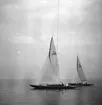 År 1938. Norrlandsregattan. Reportage för Gefle Dagblad