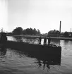 År 1938. Danskt Flottbesök. Inre hamnen. Reportage för Gefle Dagblad