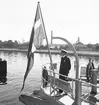 År 1938. Danskt Flottbesök. Inre hamnen. Reportage för Gefle Dagblad